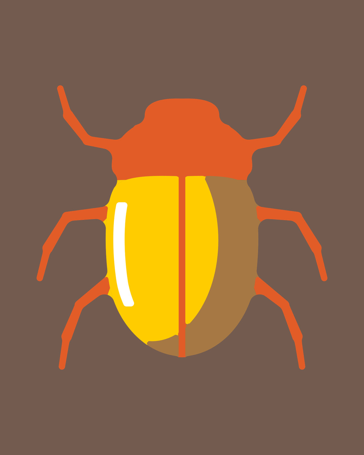Christmas Beetle