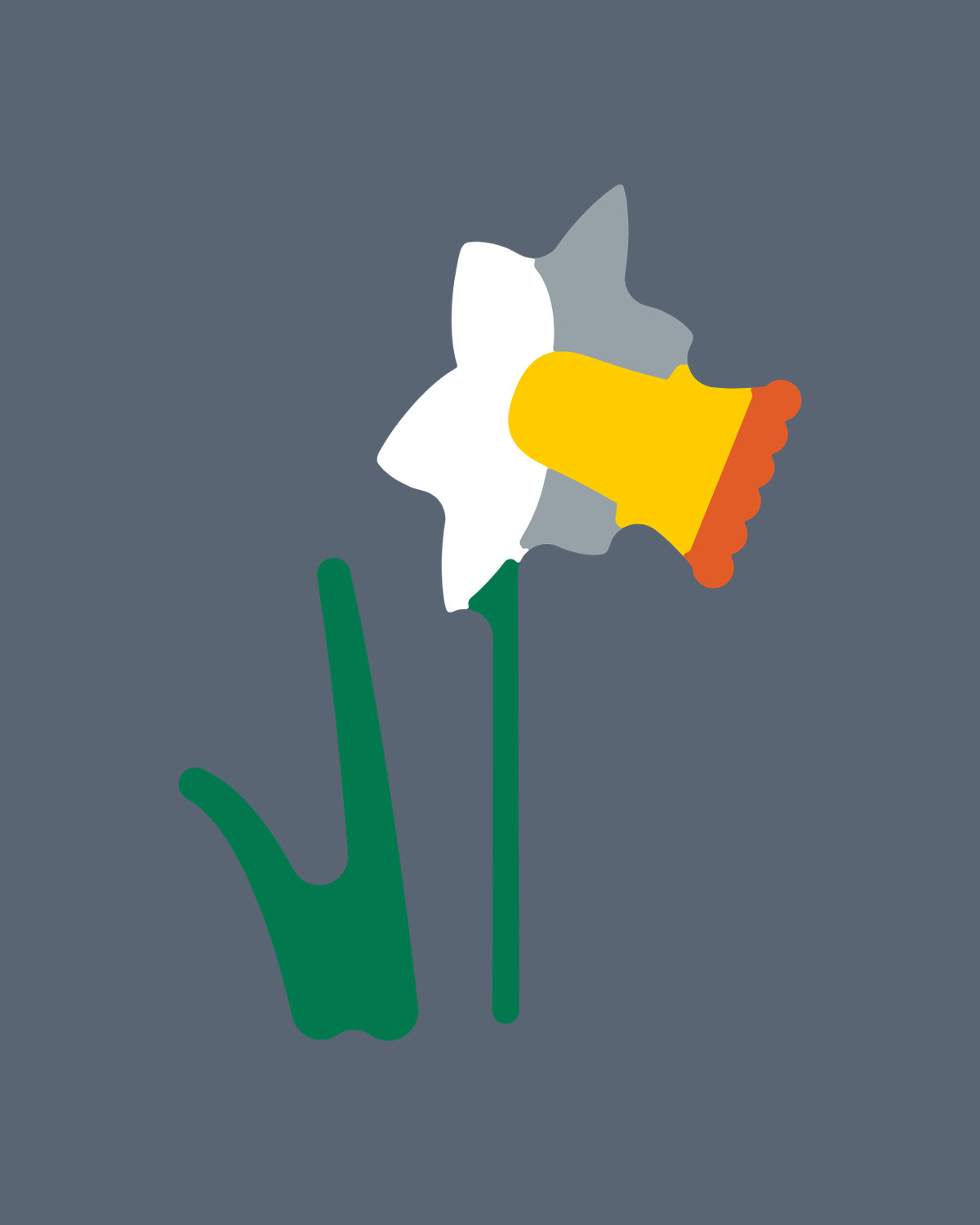 Daffodil