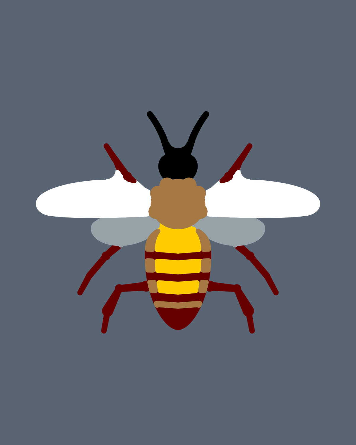 Western Honeybee