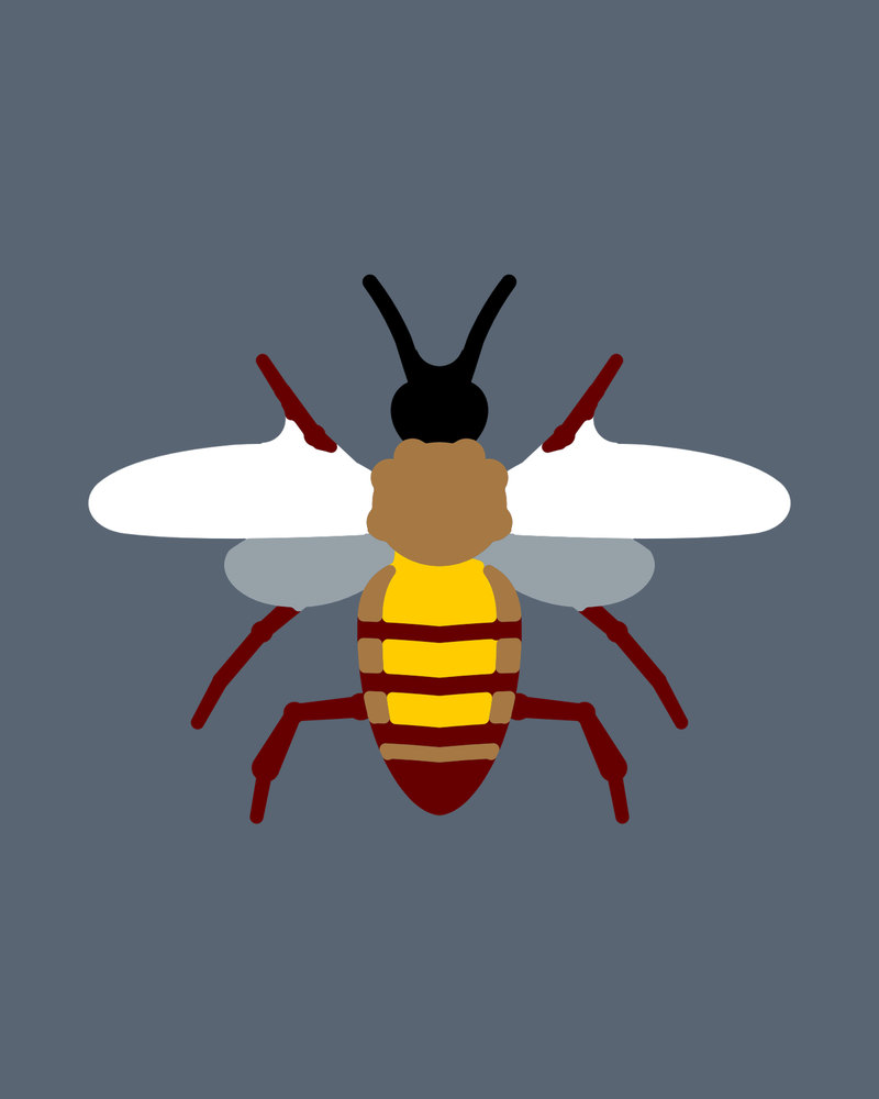 Western Honeybee: A western honeybee pinned with its wings spread