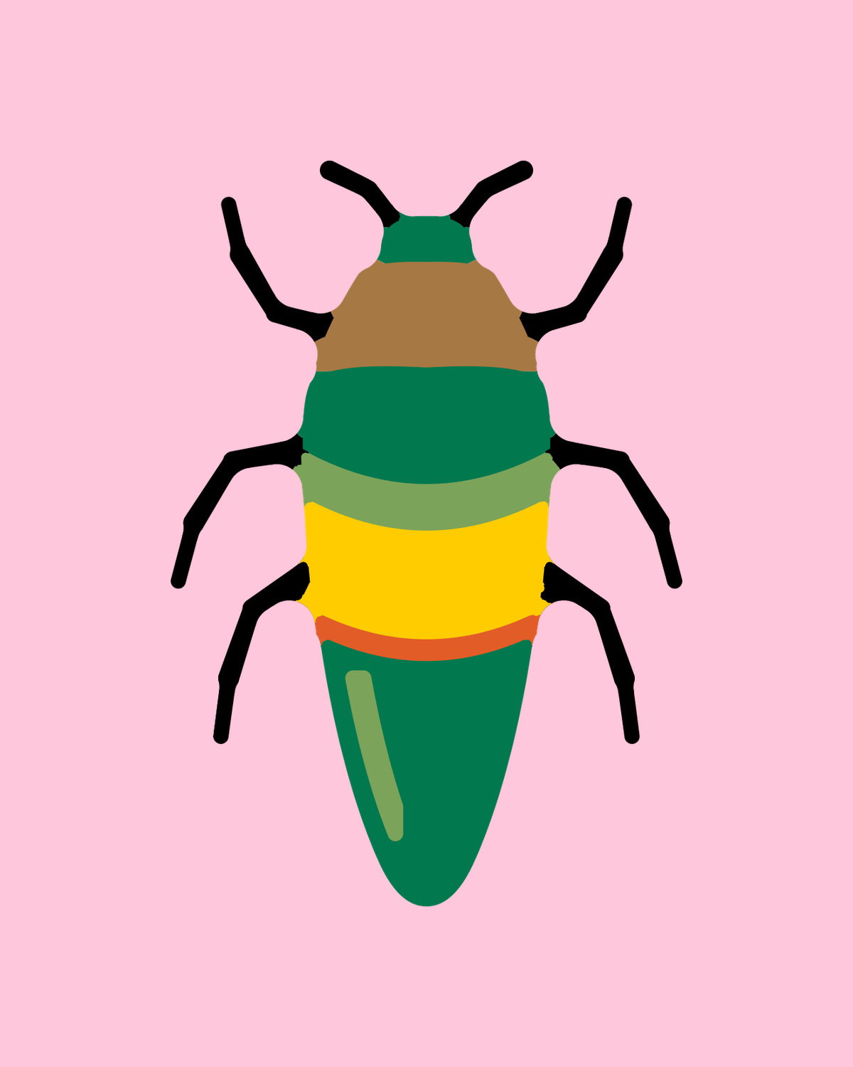 Jewel Beetle