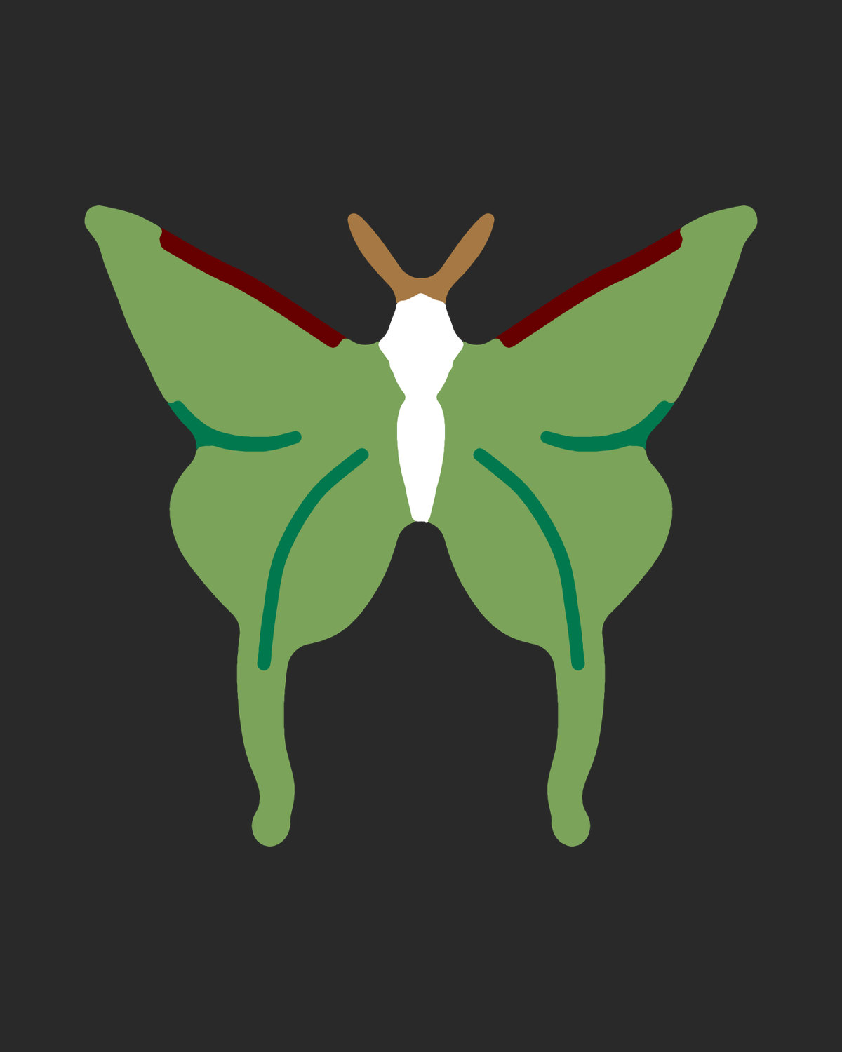 Luna Moth