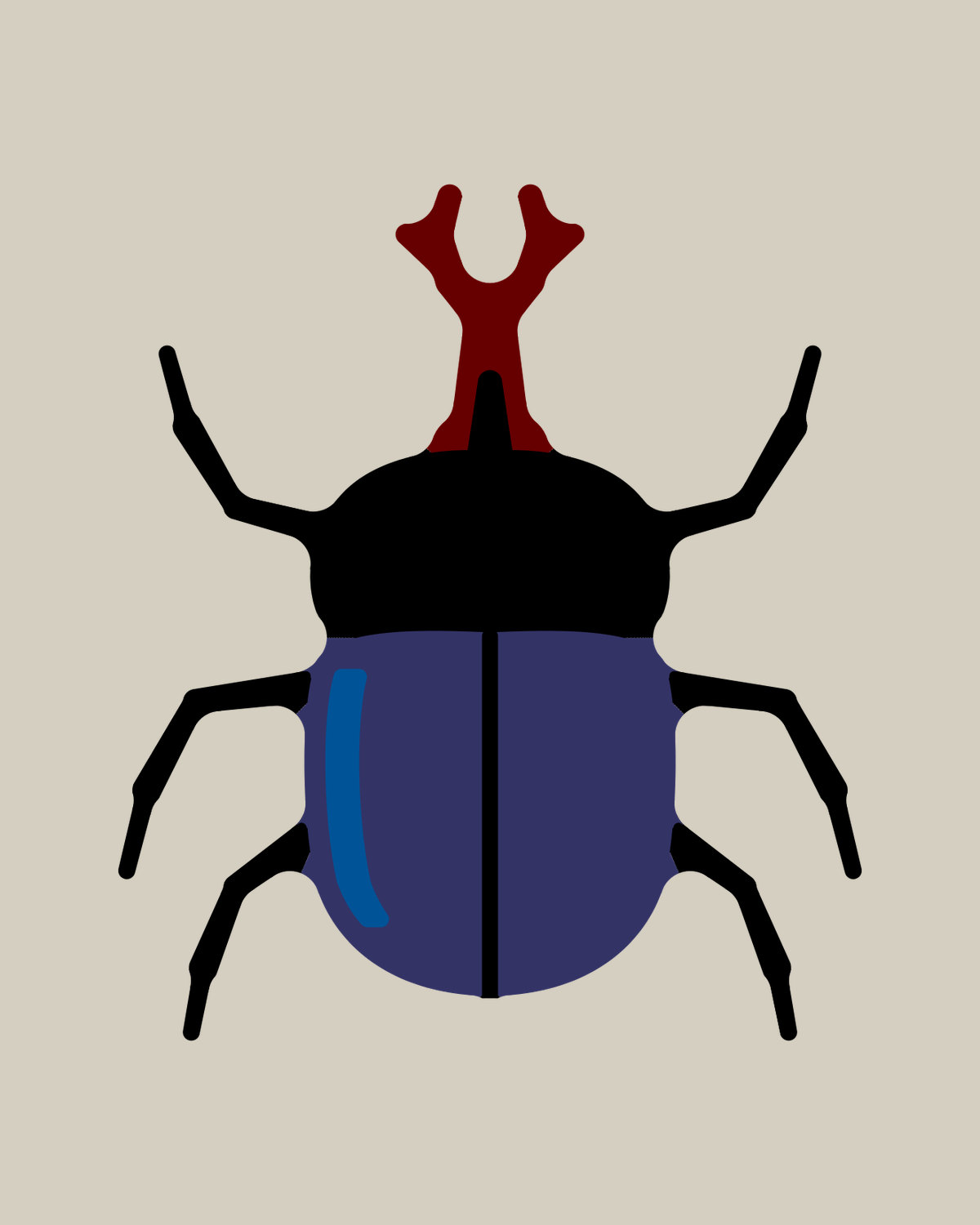 Rhinoceros Beetle