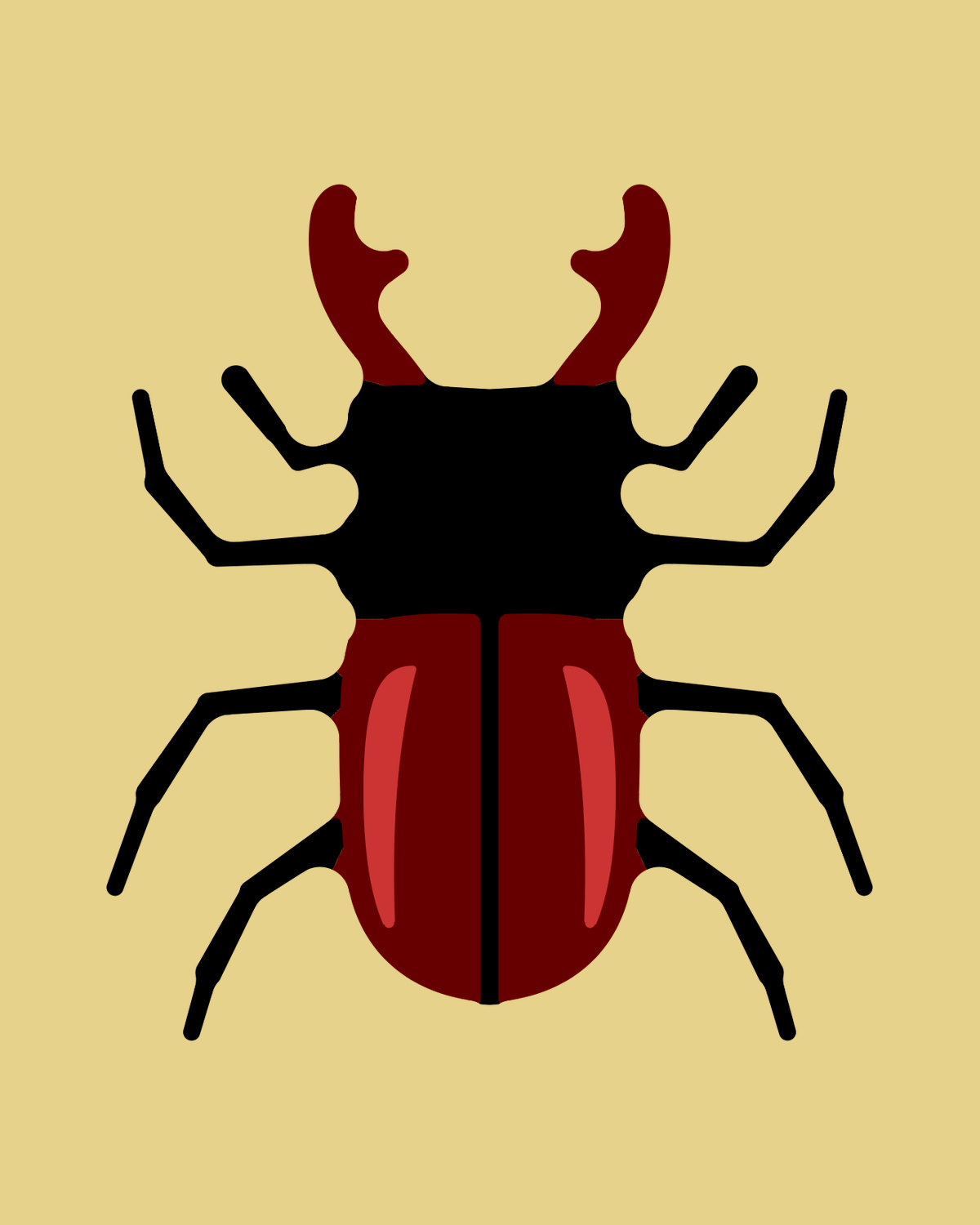 Stag Beetle